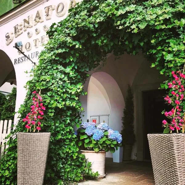 Hotel Senator, hotel v destinácii Zamość