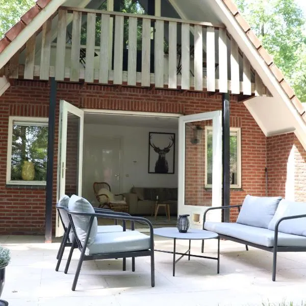 Guesthouse "Cosmea" – hotel w mieście Olst