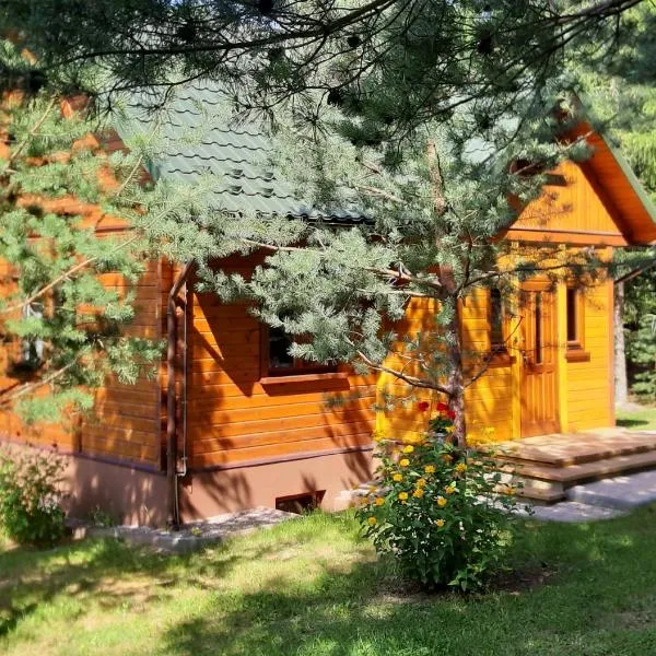 Pod Dębem Bis, hotel in Giby