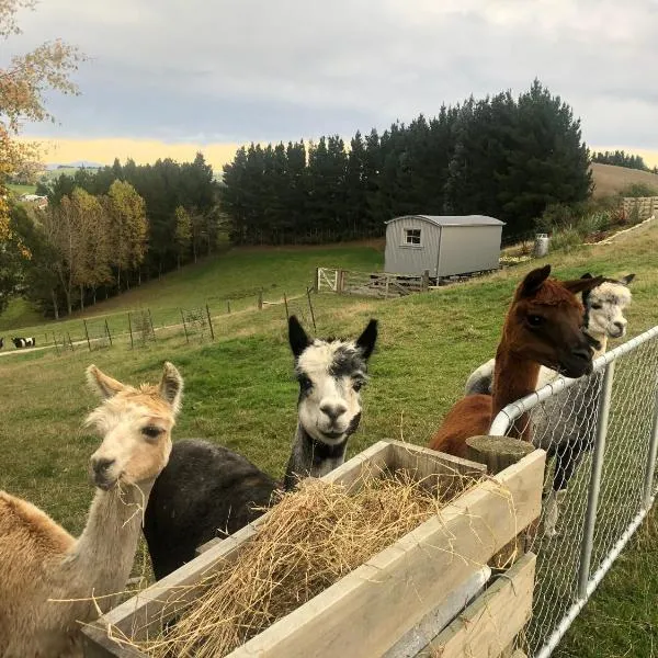 The Shepherd's Rest, hotel a Waitaki