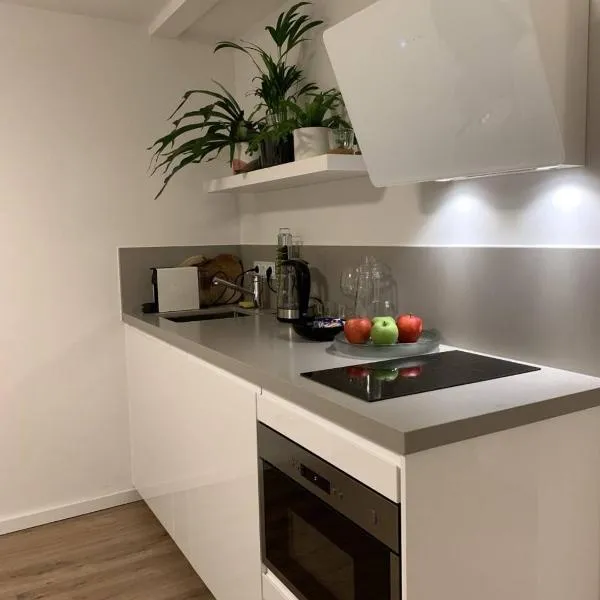 Designer Loft Apartment in Delft city new 38B, hotel in Delft