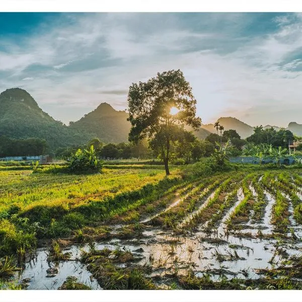 Dog Friendly Hotel $Ninh Binh - $An Thái Homestay and Bar