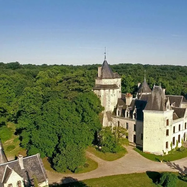 Château de Ternay, hotel v destinaci Ternay