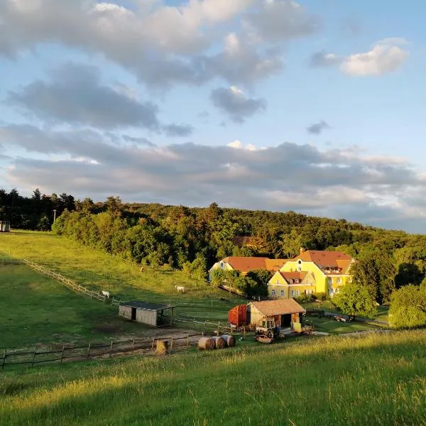 Cseri Kastélyszálló, hôtel à Tótvázsony