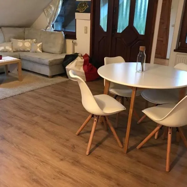 Apartman U Hřiště Krkonoše，位于Prostřední Lánov的酒店