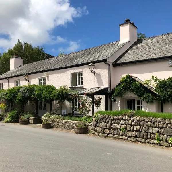 Castle Inn、リドフォードのホテル