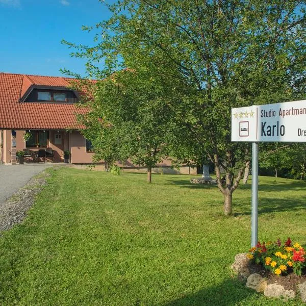 Studio Apartment Karlo, hotel v destinaci Drežnik Grad