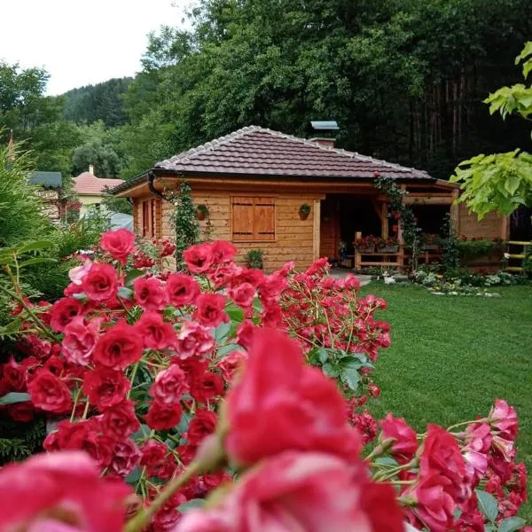 Vila Helena, hotell sihtkohas Colići