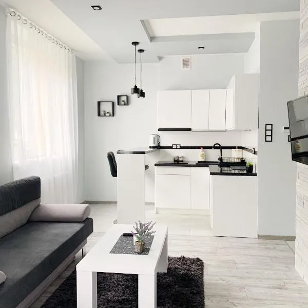 Apartament Chyba Śnisz Łańcut, hotel in Łańcut