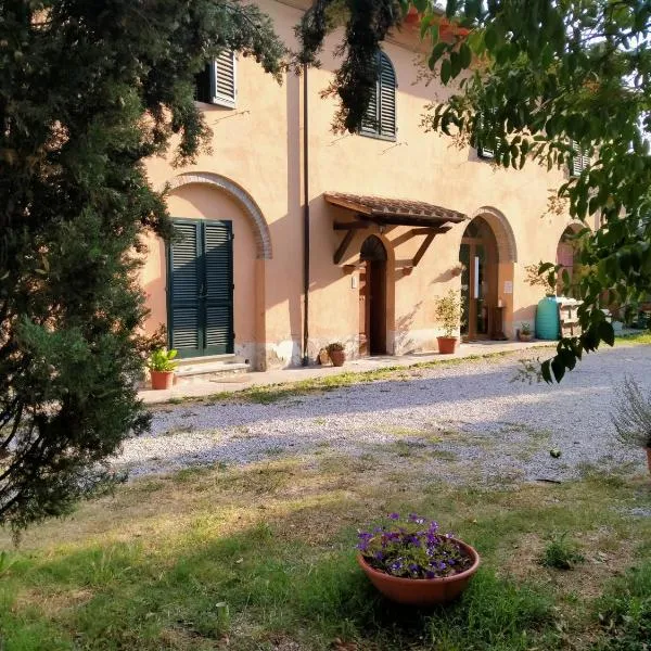 Agriturismo I due Falcetti, hotel in Borsecchio