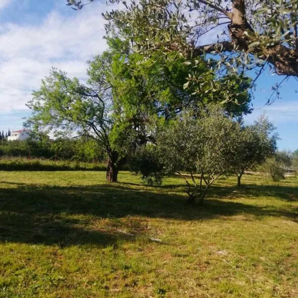 S&M camping, hotel v destinaci Sveti Filip i Jakov
