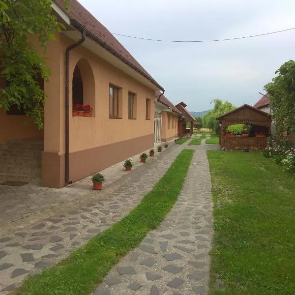 Casa Adriana, hotel v destinaci Săpînţa