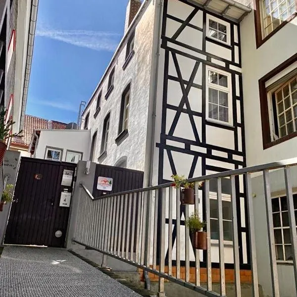 Ferienhaus Zur Abzuchtinsel, hotel in Goslar