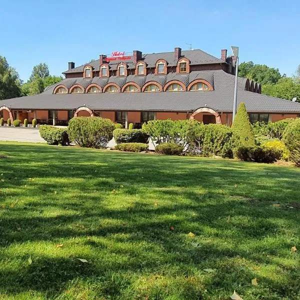 Hotel Zajazd Celtycki, hotel en Bodzanów