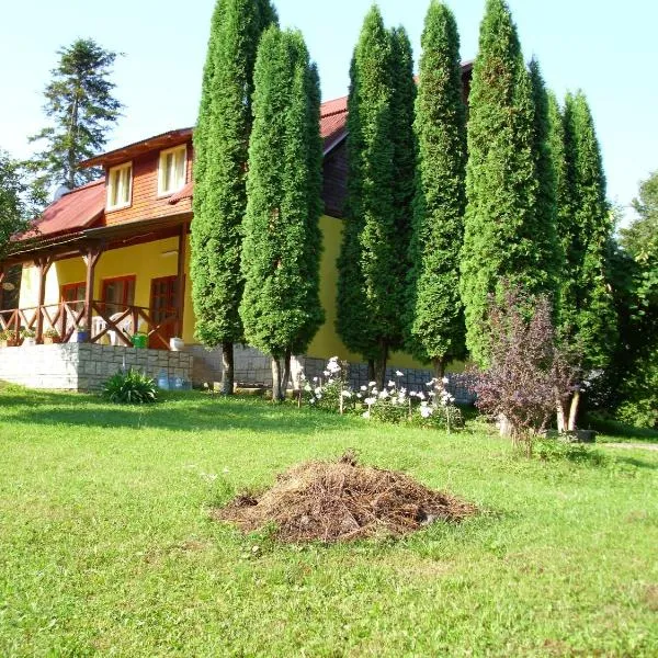 Vila Roseta, hotel in Cărpiniş