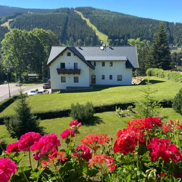 pension George, hotel in Špindlerův Mlýn