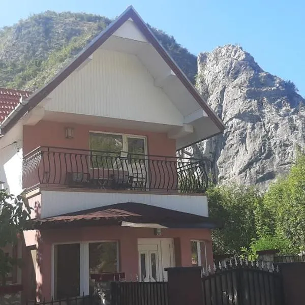 La Stanci、Crăciuneștiのホテル
