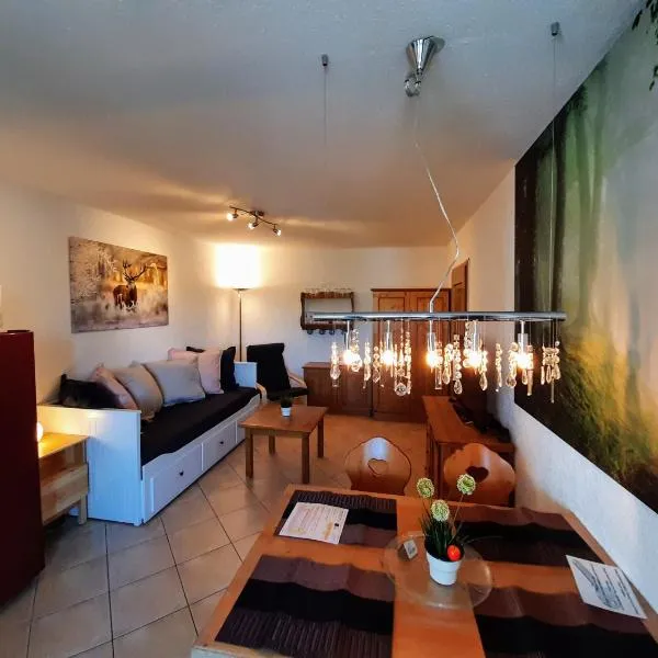 Residenz Schauinsland, ganzes Appartement, Sauna, hotel a Todtnau