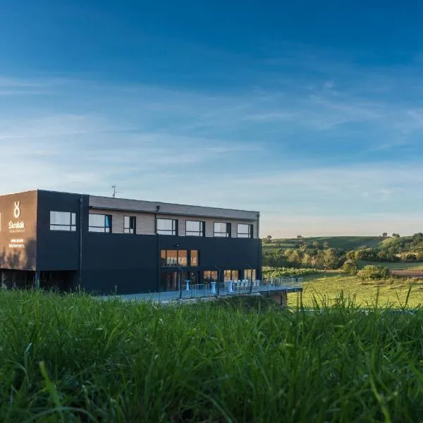 Boutique Hotel Vinařství Škrobák, hotell i Čejkovice