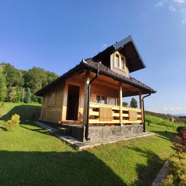 Suncevica Apartmani, Hotel in Guča