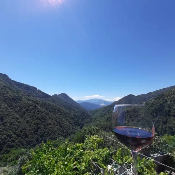 B&B La Locanda del Cinghiale, hotel v destinaci Aurano