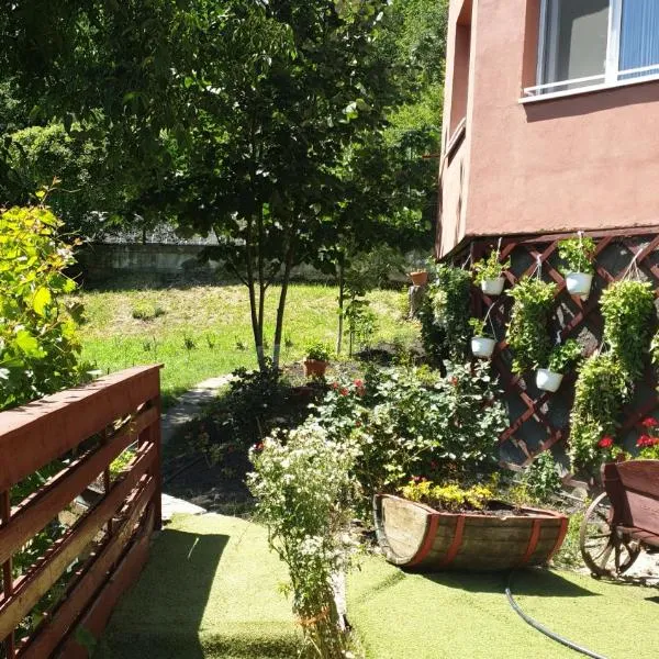 Casa Lorena, Hotel in Sărata-Monteoru