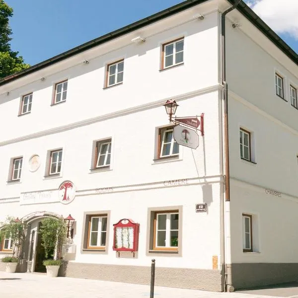 Gasthof Torwirt Radstadt, hotel v destinaci Radstadt