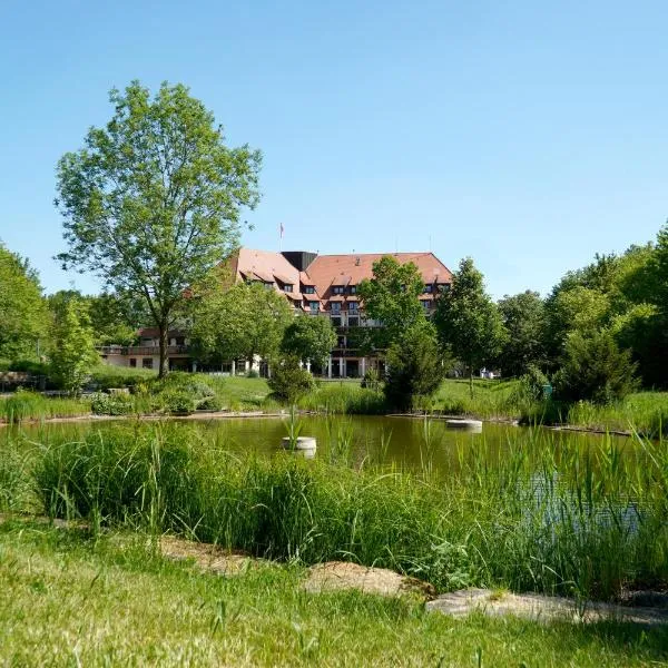 Flair Park Hotel Ilshofen, hotel in Cröffelbach