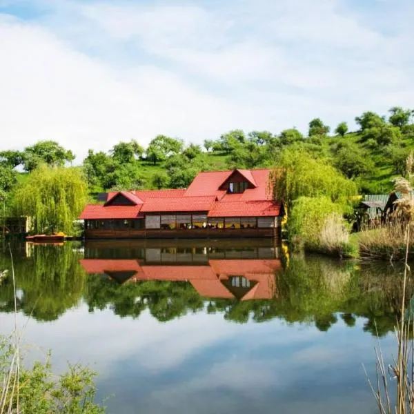 Pensiunea Hubertus, отель в городе Arcalia