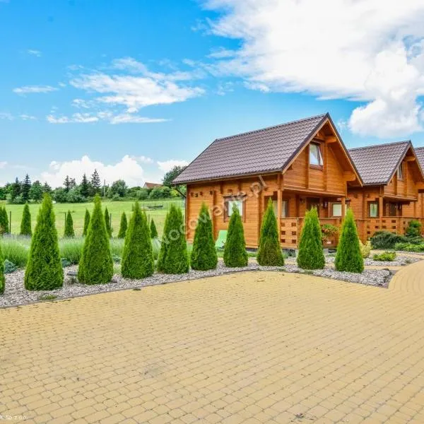 Całoroczne Domki Zaciszna Polana, hotel v destinaci Polanica-Zdrój