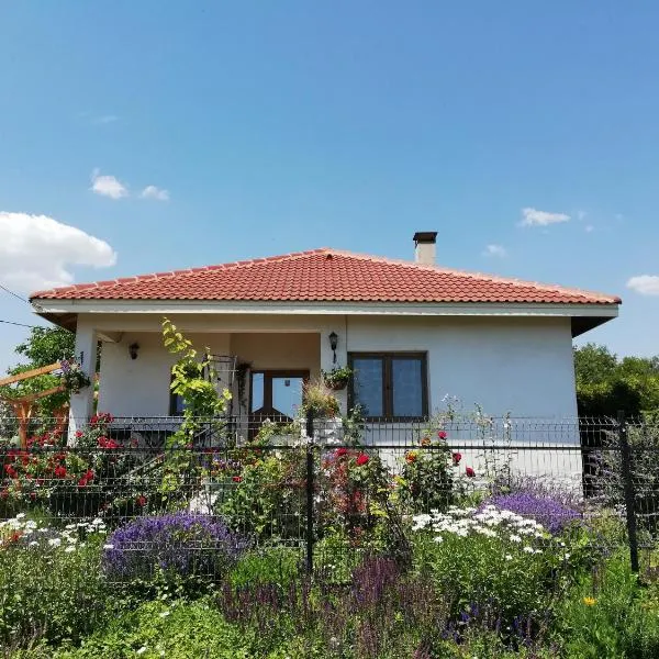 House Albena, готель у місті Крапець