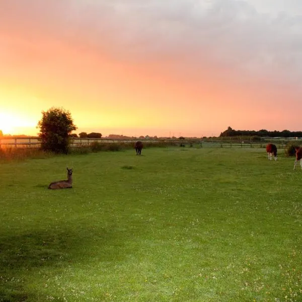 Glamping with Llamas, hotel in Tydd Saint Giles