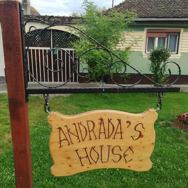 Andrada's House Soars, hótel í Văleni