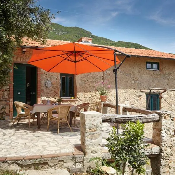 Casa Berti - Urlaub im Olivenhain, hotel in Camaiore