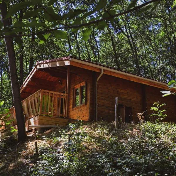 Chalets & Camping Villa Mayari, hotel v destinaci Escosse