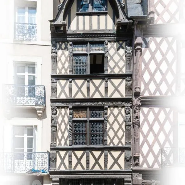 L'Oisellerie Meublé de Tourisme, hotel in Angers