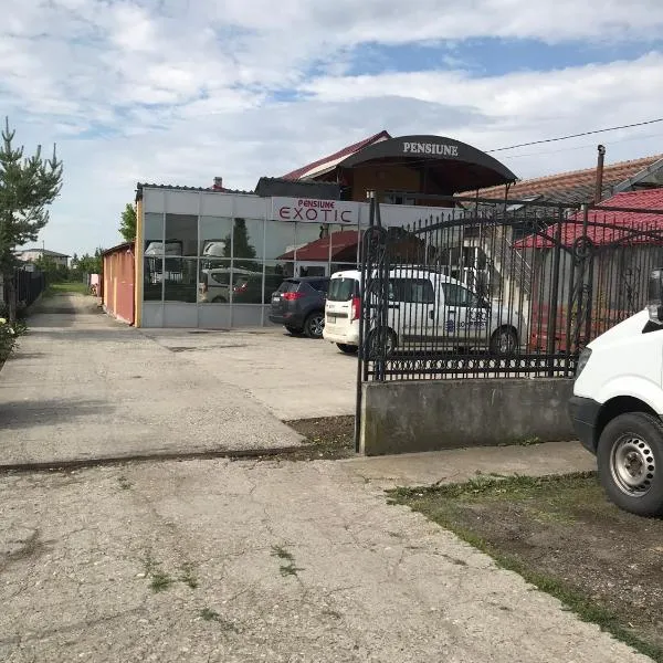Pensiunea exotic, hotel in Craiova