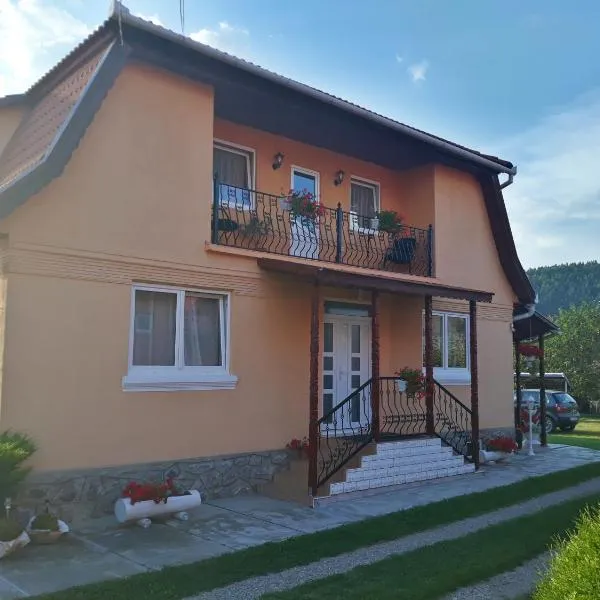Gabriella vendégház, hotel di Lăzarea