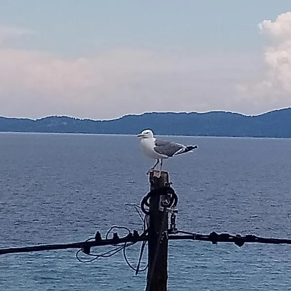 Diolkos 2, hotel u Nei Rodi