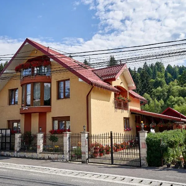 Casa cu Flori Moisei, Hotel in Moisei