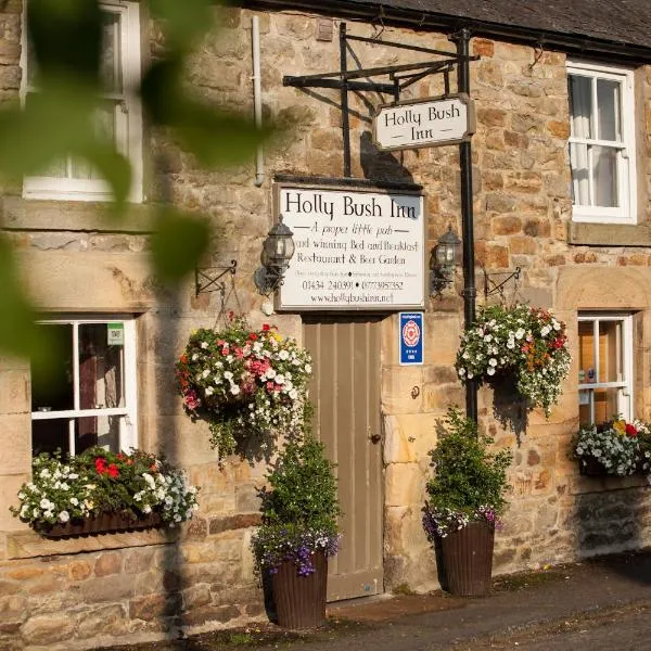 Hollybush Inn, hotel v destinaci Greenhaugh