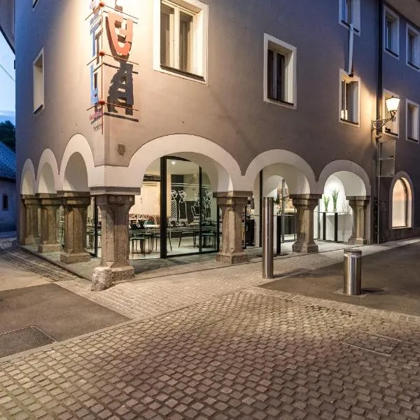 Hostel Situla, hotell i Novo Mesto