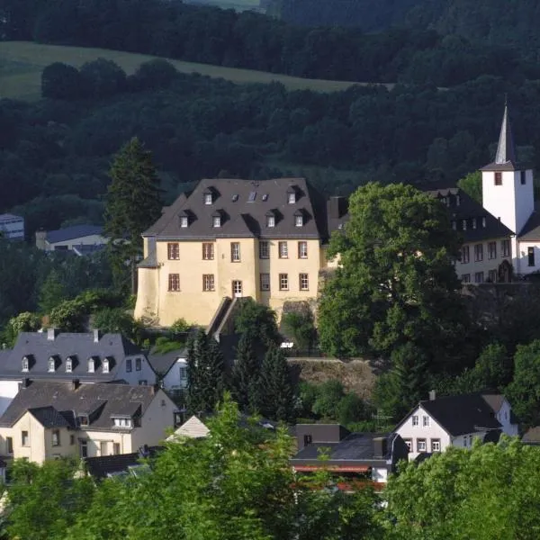 Schloßhotel Kurfürstliches Amtshaus Dauner Burg, hotel in Steineberg