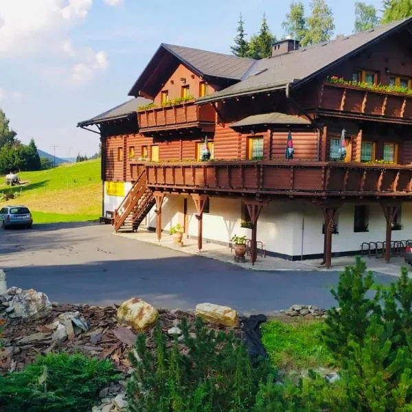 Pension Grizzly, hotel in Karlovice
