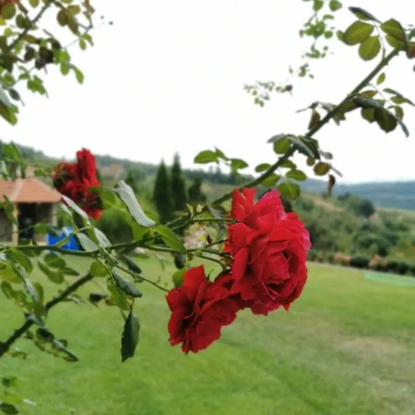 Domaćinstvo Sinđelić, hotel di Ivanjica