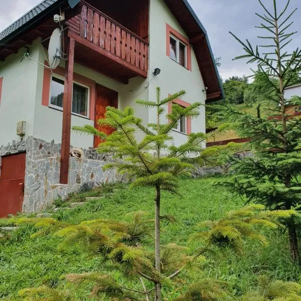 Casa Dor de Ea, hotel in Sătic