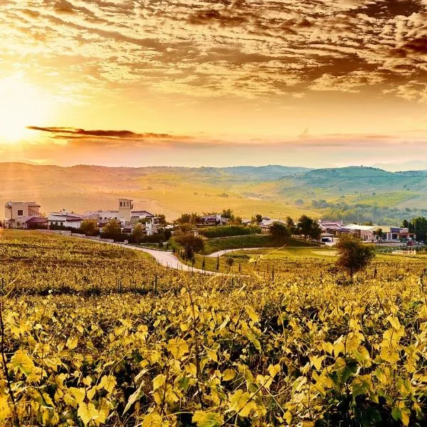 Zornitza Family Estate Relais & Chateaux、メルニックのホテル