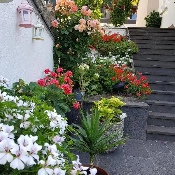 Gartenstudio Anila, hotel v destinaci Cochem