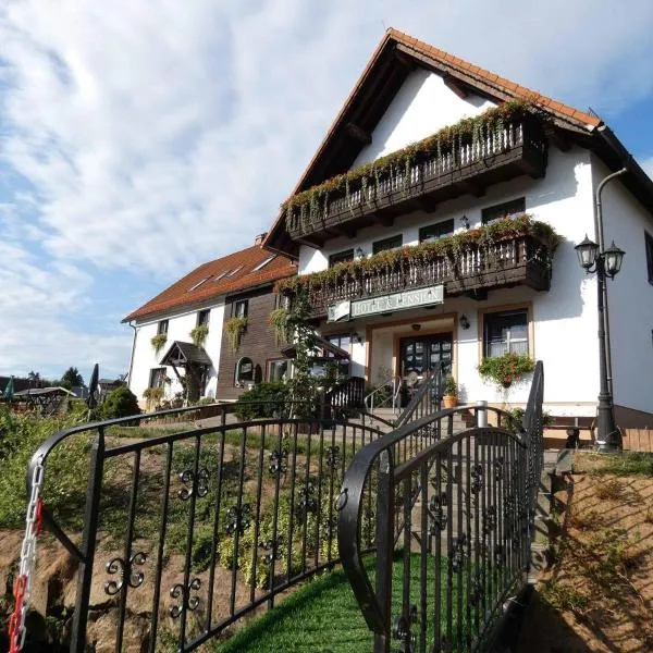 Hotel-Pension Flechsig, hotel in Weißbach