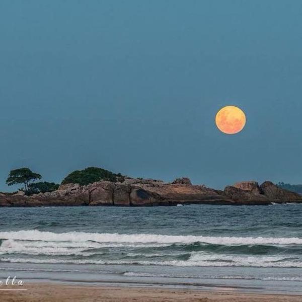 Mordomia no Guarujá